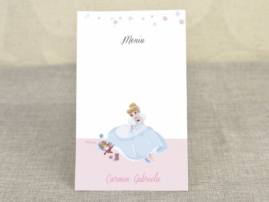 meniu botez Disney 3713